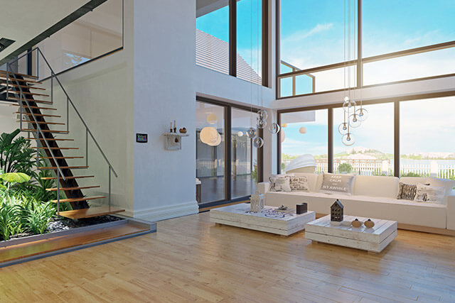 Indoor plants and decor